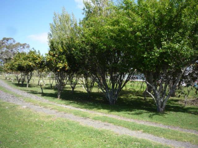 Blue House Villa Awanui Buitenkant foto
